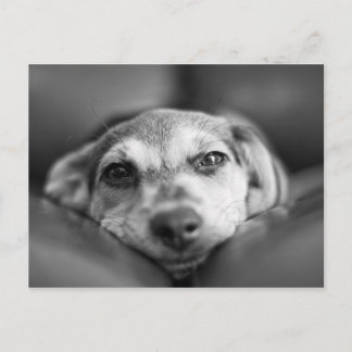 Ansikte till Ansikte Vykort