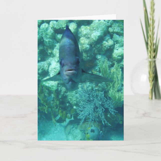 Ansikte-till-Fisk kort (Framsida)