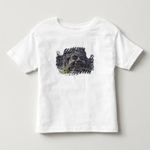 Ansiktsdetalj av den västra porttornet (Gopuram), T Shirt