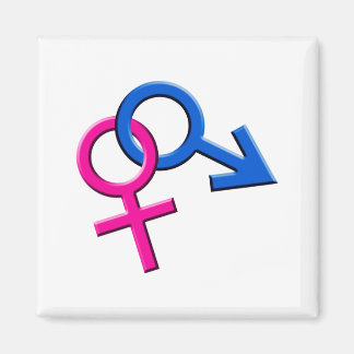 Ansluten manlig och kvinnlig symbol Magnet 003