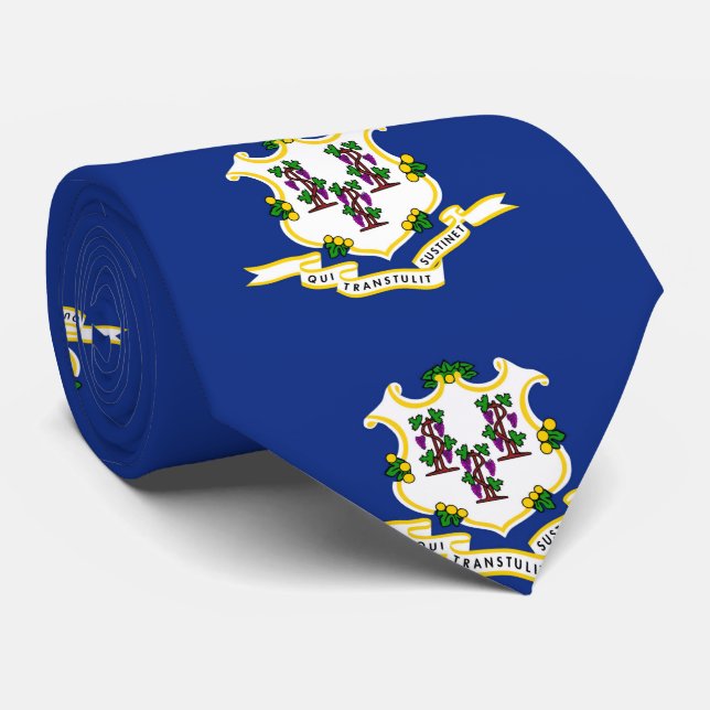 Anslutning Slips (Rullad)