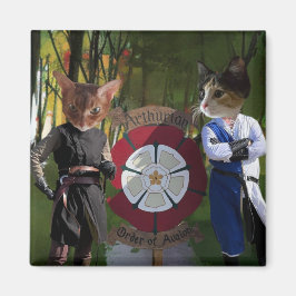 Anslutning till AOA-Fransk Magnet