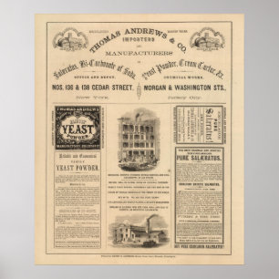 Anslutning till delar av New York Poster