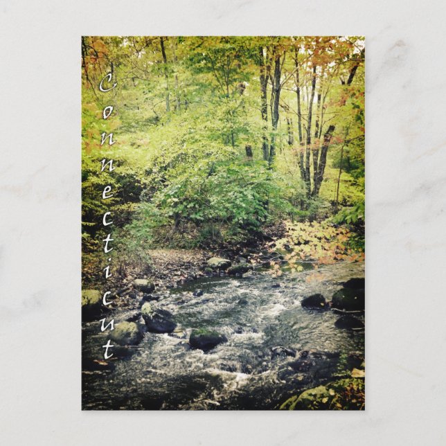 Anslutningskort Vykort (Framsida)