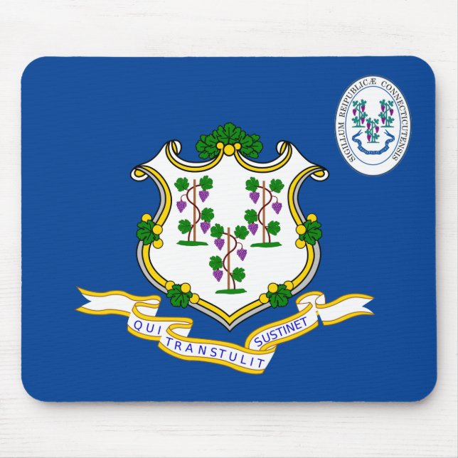 Anslutningslösning, flagga musmatta (Framsidan)