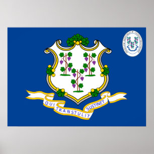 Anslutningslösning, flagga poster