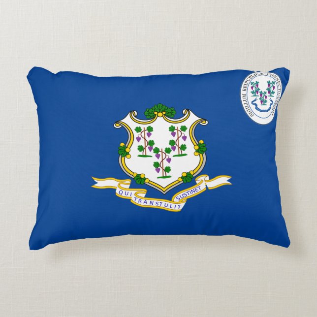 Anslutningslösning, flagga prydnadskudde (Framsidan)