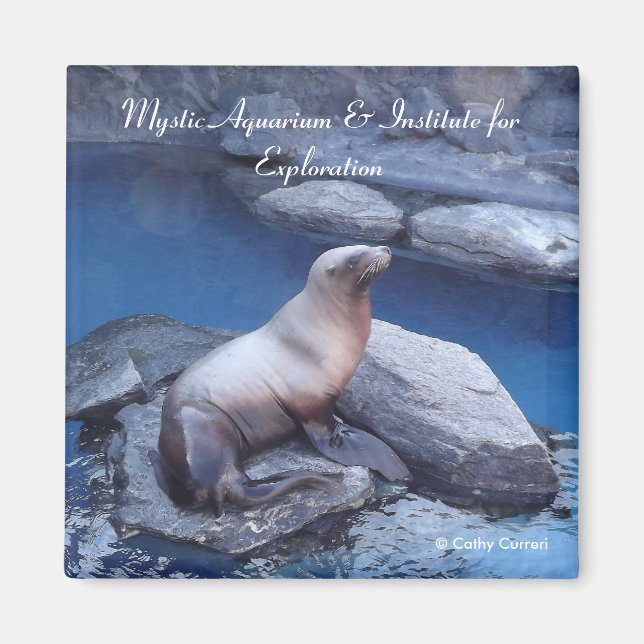 Anslutningsmagnet Magnet (Framsidan)