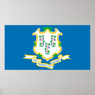 Anslutningstillstånd, flagga poster