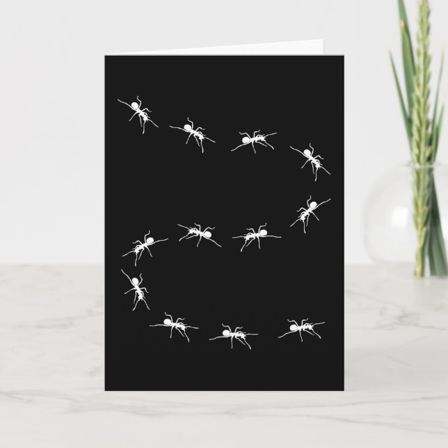 Ant Ants Keeping Ant Farm Gift Funny Kort (Framsida)