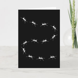 Ant Ants Keeping Ant Farm Gift Funny Kort