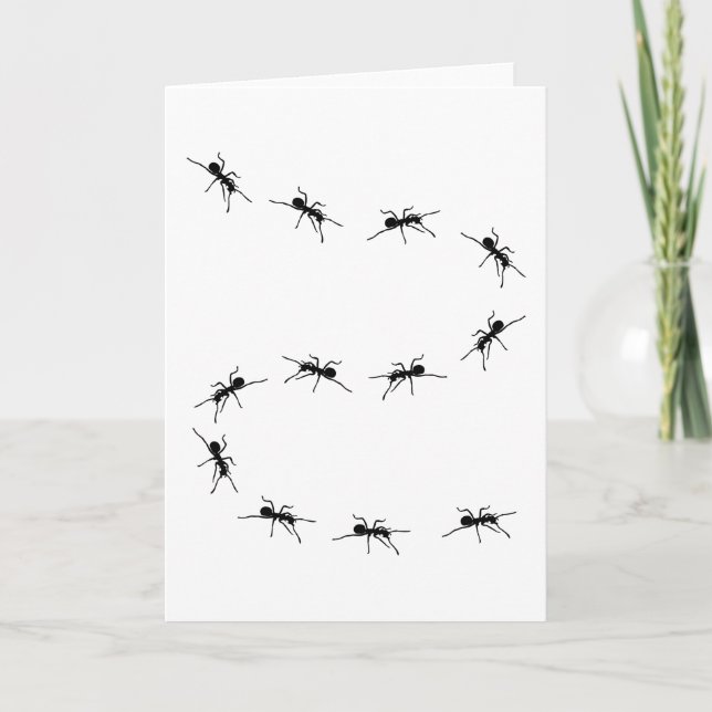 Ant Ants Keeping Ant Farm Gift Funny Kort (Framsida)
