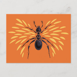 Ant Art Insekt Älskare Fiery Orange Entomologi Vykort