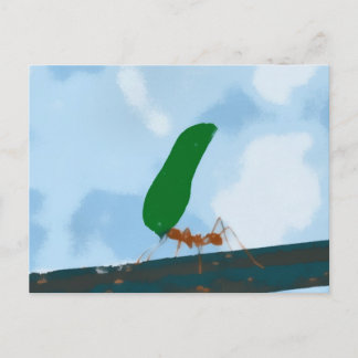 Ant Carshing a Löv Vykort