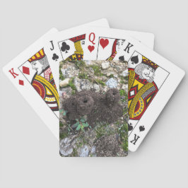 Ant Castle Casinokort