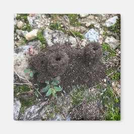 Ant Castle Magnet