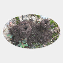 Ant Castle Ovalt Klistermärke
