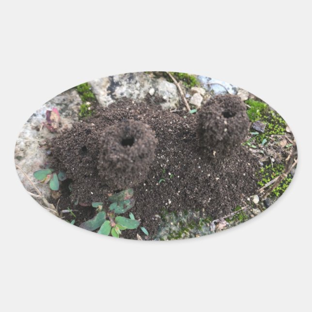 Ant Castle Ovalt Klistermärke (Framsida)