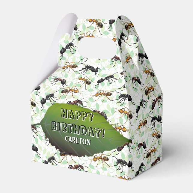 Ant Insektra Kryp Creepy Crawly Creatys Presentaskar (Framsidan Sidan)