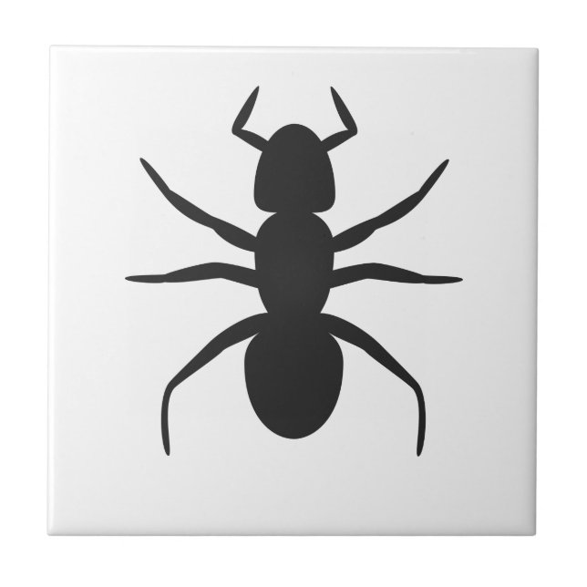 Ant Kakelplatta (Framsidan)