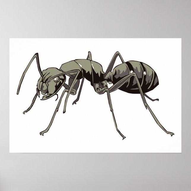 Ant Poster (Framsidan)