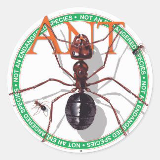 Ant Sticker Runt Klistermärke