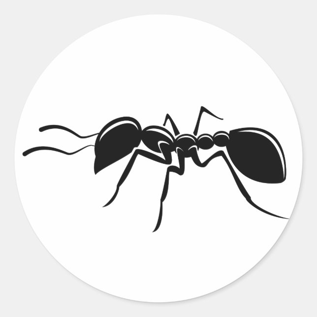 Ant teckning insekt runt klistermärke (Framsida)