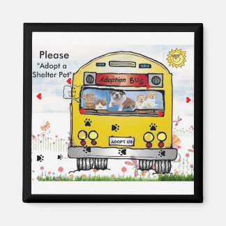 Anta Buss för Cat & Hund's Magnet