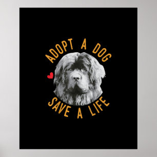 Anta en Hund Spara A Life Rädding Newfoundland Poster