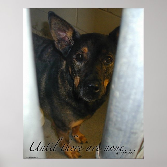 Anta en! Poster (Framsidan)