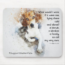 Anta en skyddspenna - Beagle