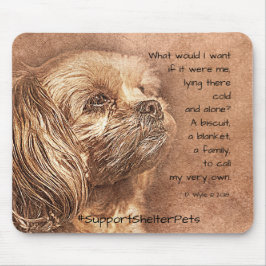 Anta en skyddspenna - Shih Tzu Musmatta