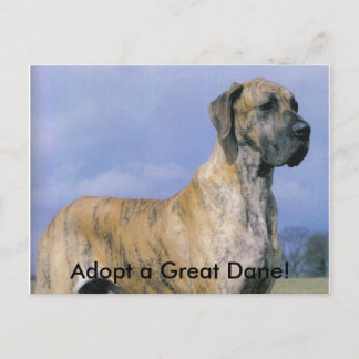 Anta ett Great dane! vykort
