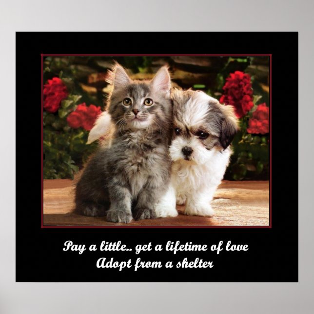 Anta ett sällskapsdjur poster (Framsidan)