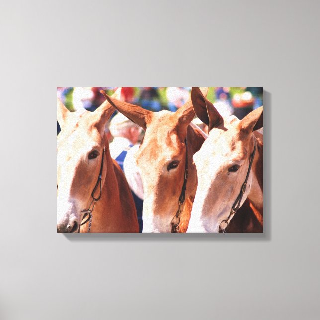 Antal dagar i columbia tår canvastryck (Framsida)