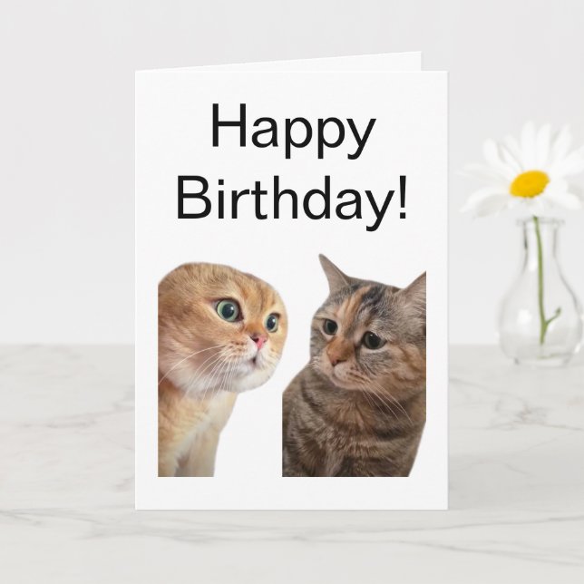 Antal matchande katter med mappat kort (Liten växt)