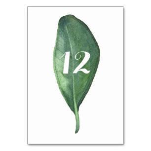 Antalet minimalistiskt grekiskt Foliage Grönt Löv Bordsnummer