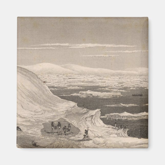 Antarctica 2 magnet (Framsidan)