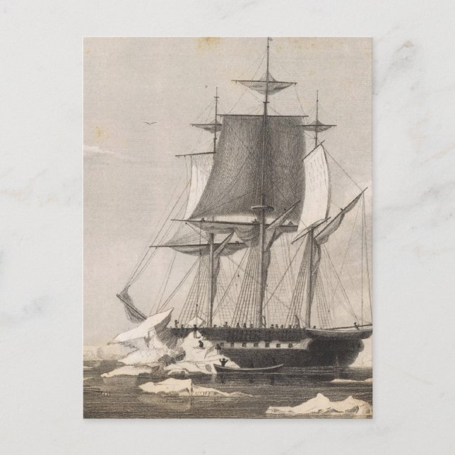 Antarctica 2 vykort (Framsida)