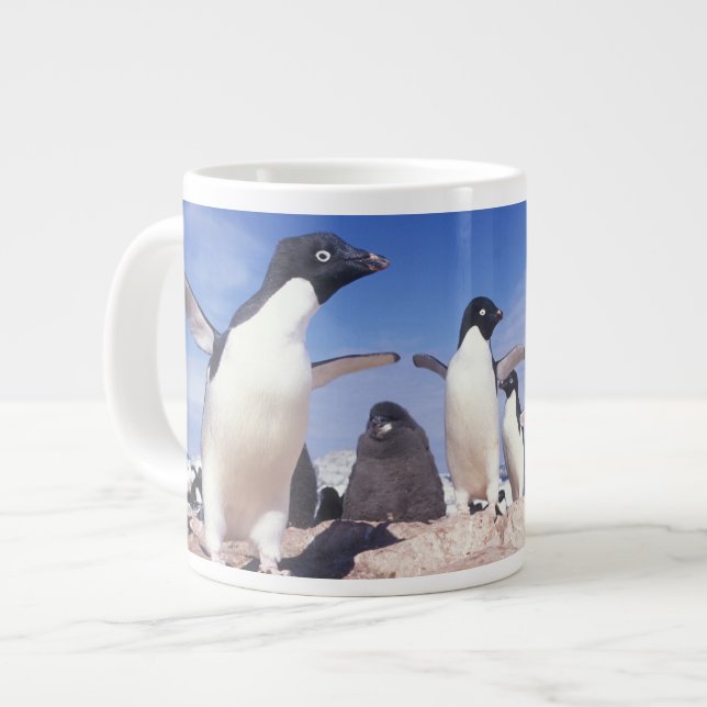 Antarctica, Adelie Penguin Pygoscelis Jumbo Mugg (Framsida vänster)