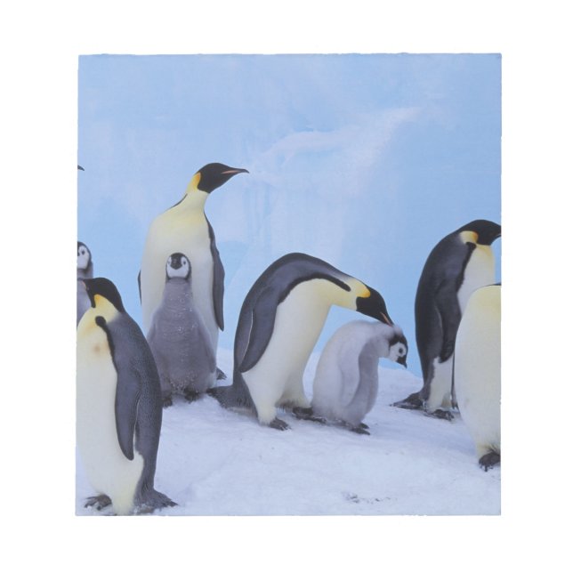 Antarctica, Emporer Penguins Anteckningsblock (Framsida)