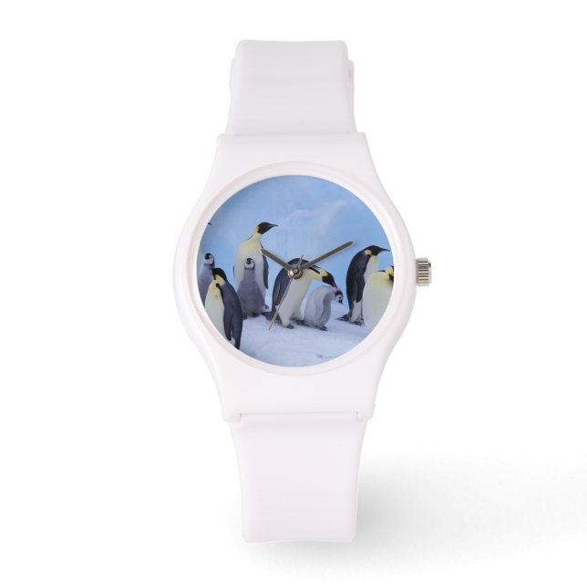 Antarctica, Emporer Penguins Armbandsur (Framsida)