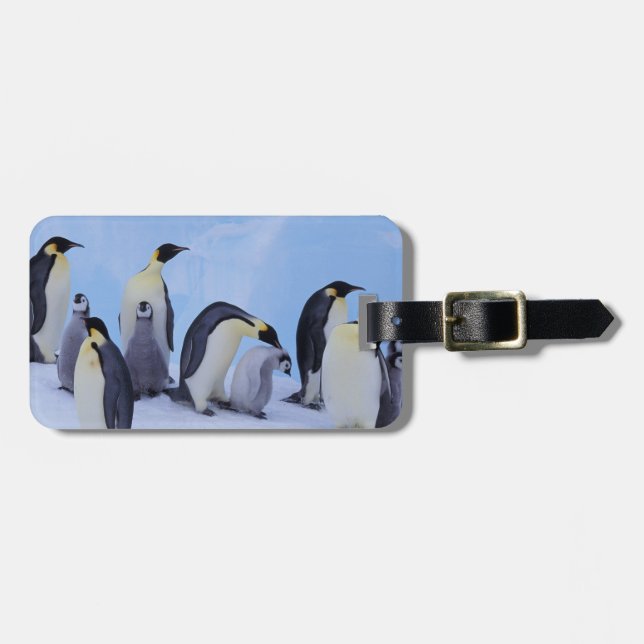 Antarctica, Emporer Penguins Bagagebricka (Horisontell Framsida)