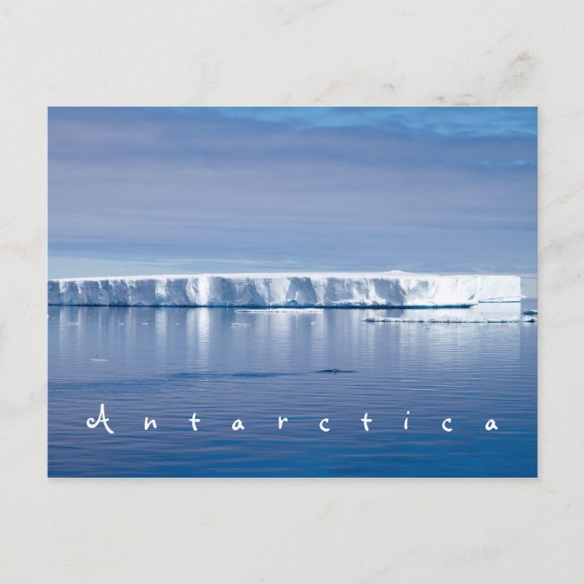 Antarctica iceberg liggande foto med vit text vykort (Framsida)