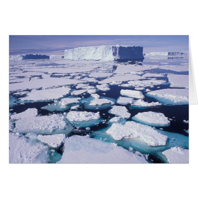 Antarctica, isflöde. hälsningskort (Framsidan Horizontal)