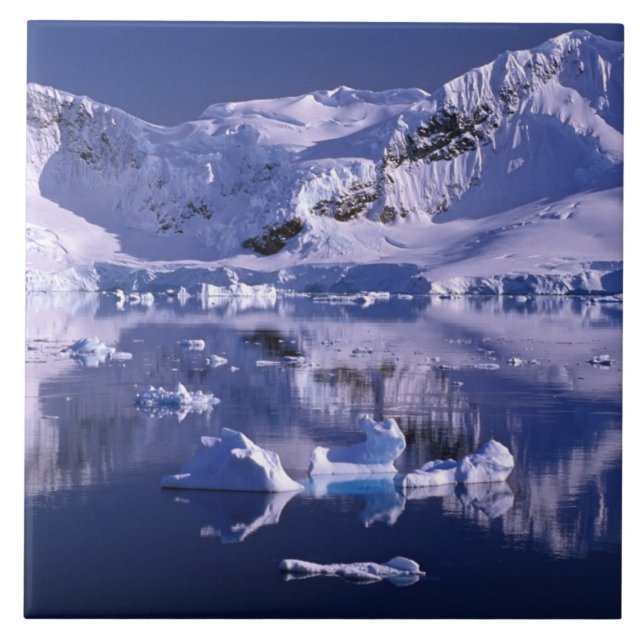 Antarctica, Paradise Bay Kakelplatta (Framsidan)