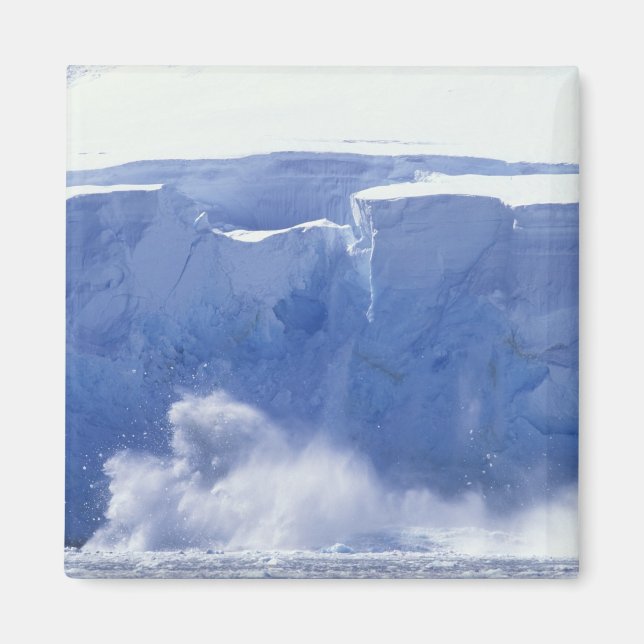 Antarctica, Paradise Bay, Massive wave-formulär Magnet (Framsidan)