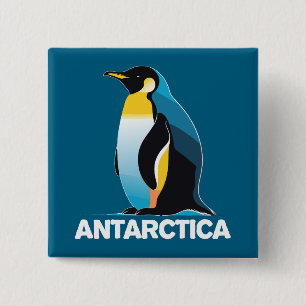 Antarctica Penguin Knapp