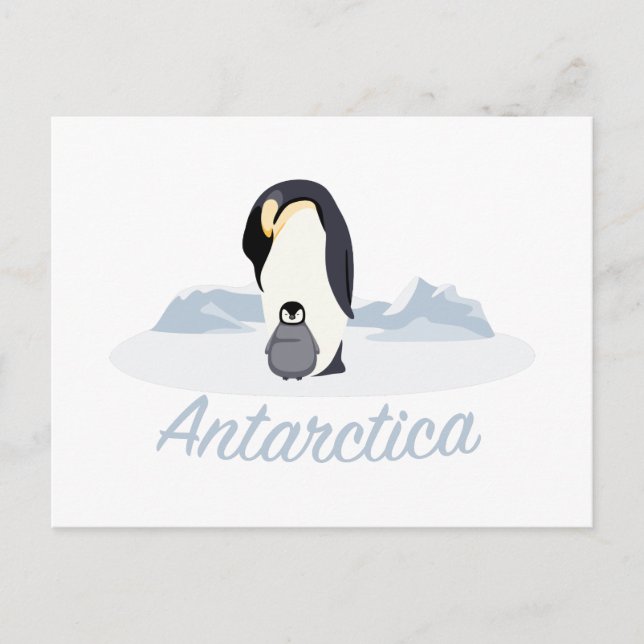 Antarctica Penguins Vykort (Framsida)