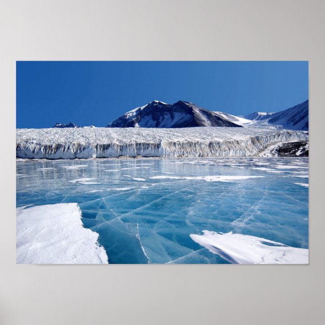 Antarctica Poster (Framsidan)